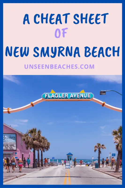 New Smyrna Beach Pin