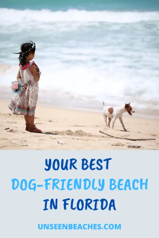 Dog Friendly Beach Pins 3