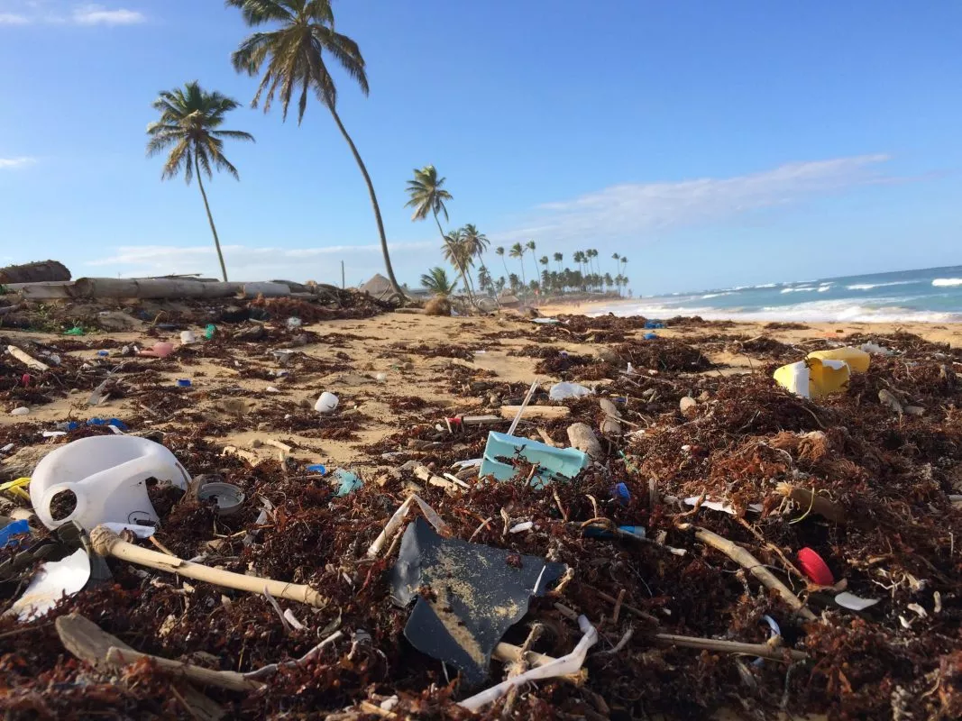 trash-beach-washup