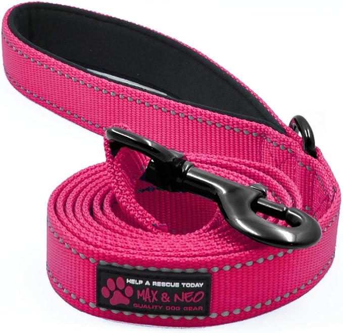 Max and Neo Reflective Nylon Dog Leash