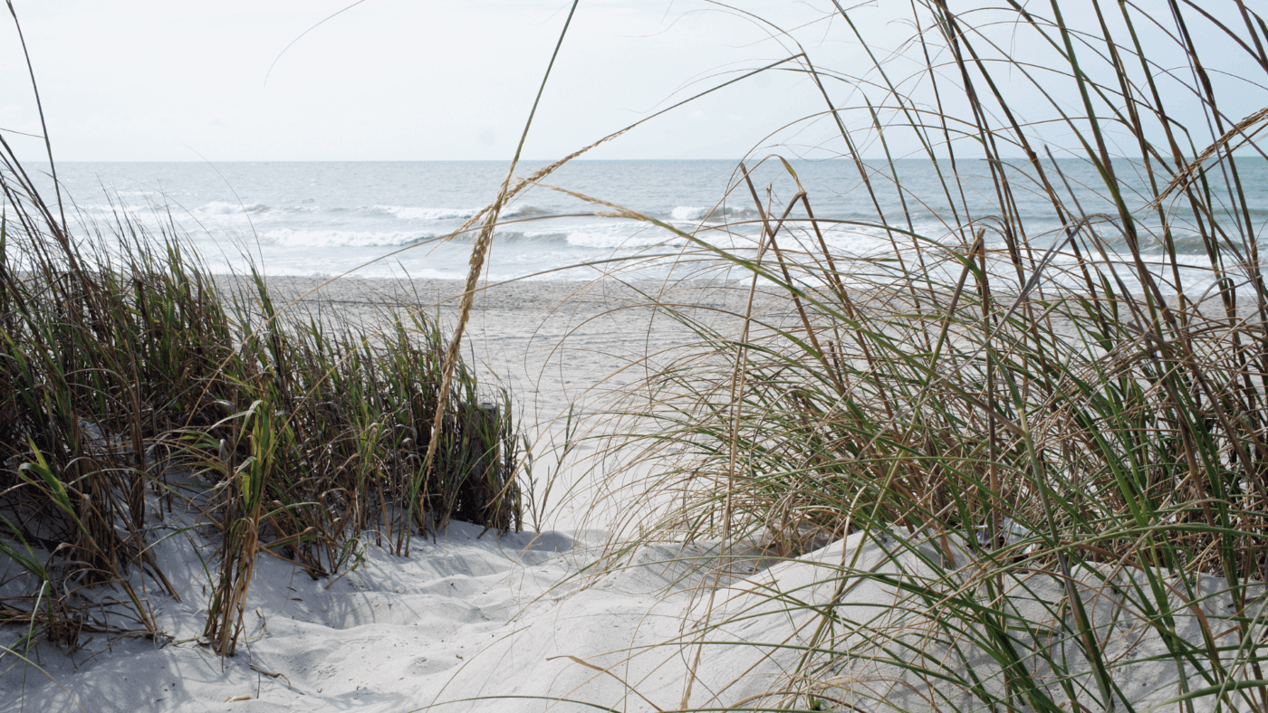 Folly Field beaches-in-georgia-and-south-carolina