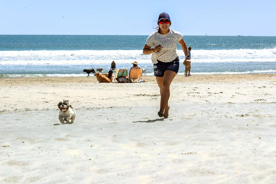 Jeanette-running-with-Tutu-at-Coronado-Dog-Beach