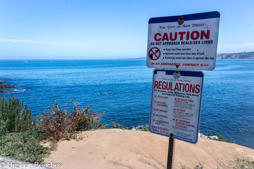 San Diego Sea Lions Warning Signs-min