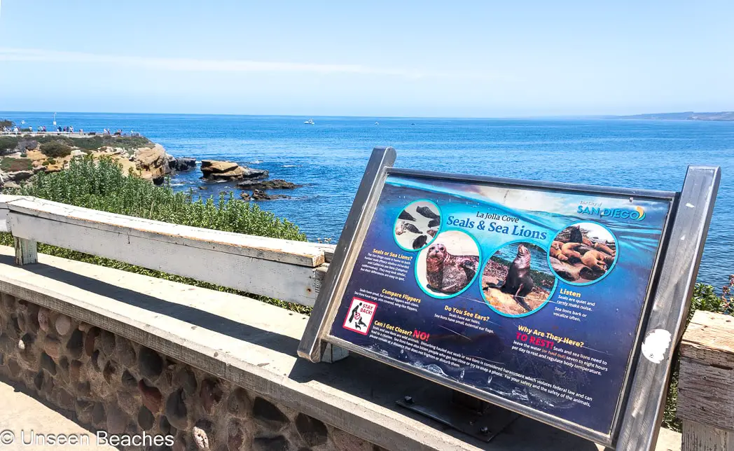 Sea Lions and Seals Sign at La Jolla Cove-min