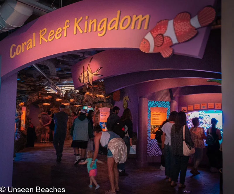 Coral-Reef-Exhibit-at-Monterey-Bay-Aquarium