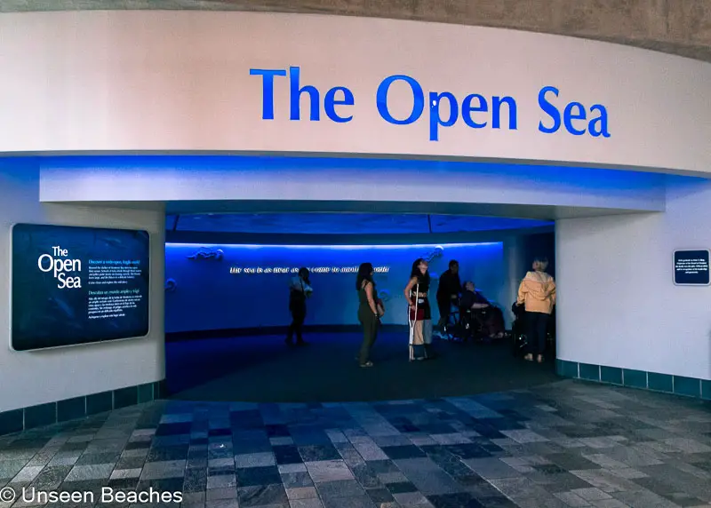 Open-Sea-Exhibit-at-Monterey-Bay-Aquarium
