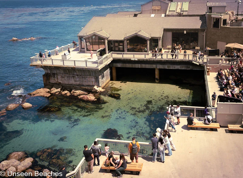 Pacific-View-of-Monterey-Bay-Aquarium