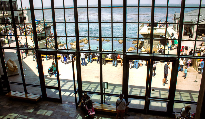 People-at-Monterey-Bay-Aquarium