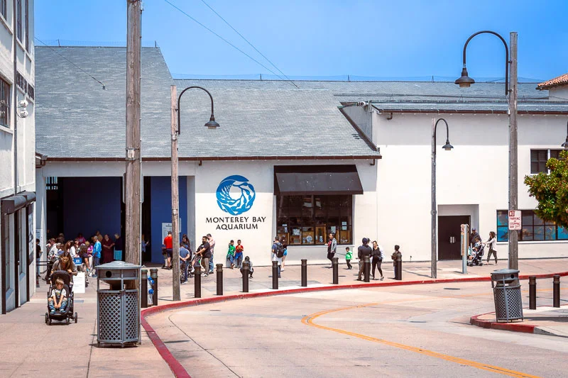 Is Monterey Bay Aquarium Worth it or Overrated?