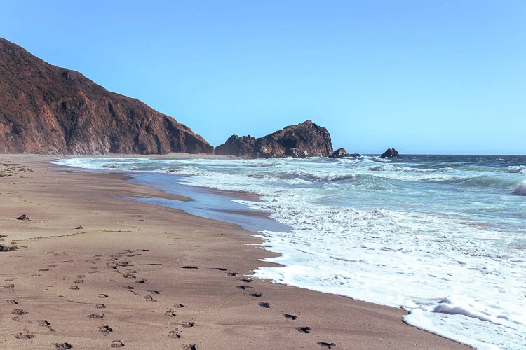 What I Wish I Knew Before Visiting Point Reyes National Seashore