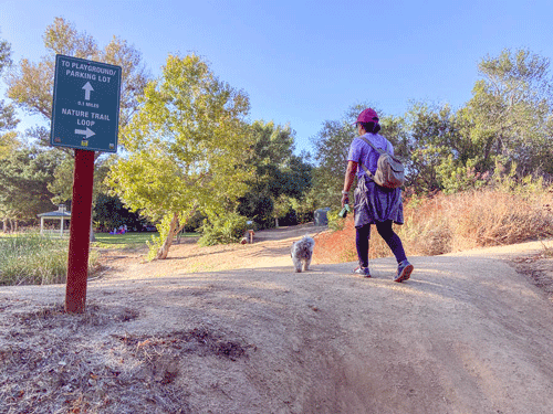 Dog-friendly-hiking-trail-at-Dos-Picos-Park-San-Diego