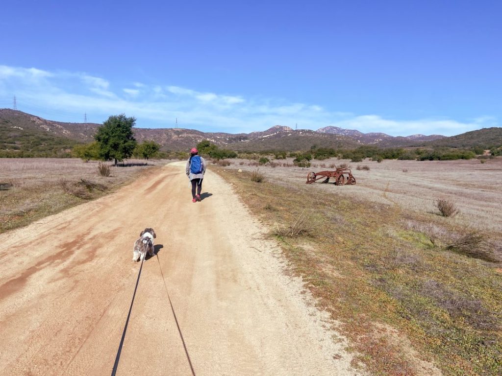 Jeanette and Tutu walking across Sycamore Canyon Reserve