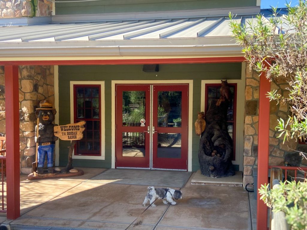 Visitor Center with Tutu in the front at Sycamore Canyon dog hike